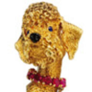 Meet your Posher, Sasha